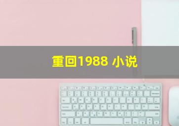 重回1988 小说